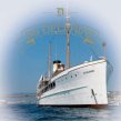 Flybridge MAIORA 27M - Boat picture