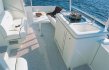 Open SESSA MARINE C54 - Photo brochure