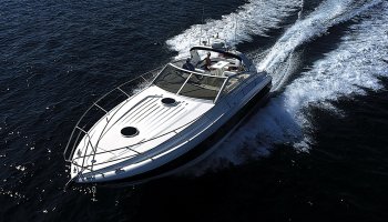 PRINCESS V42