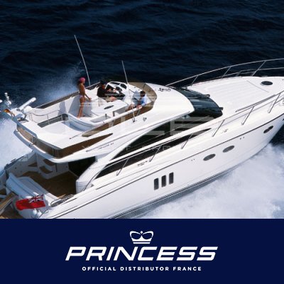 PRINCESS 54
