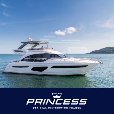 PRINCESS F62
