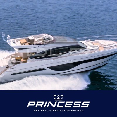 PRINCESS S66