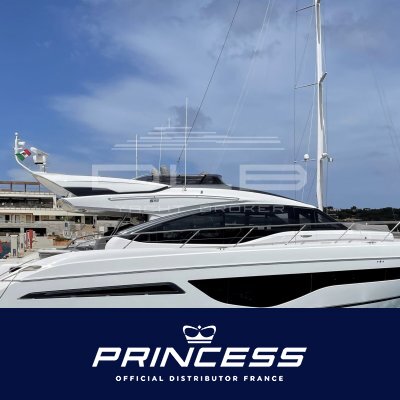 PRINCESS S66
