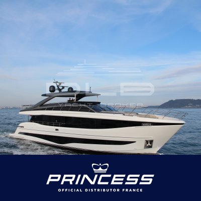 PRINCESS Y95