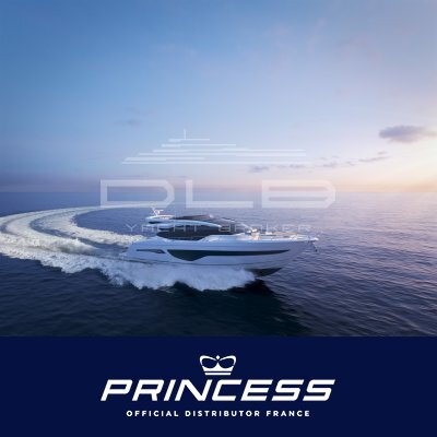 PRINCESS S78