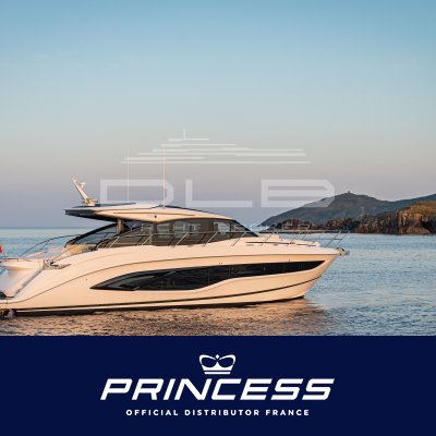 Princess V55