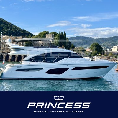PRINCESS F55