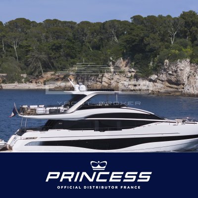 PRINCESS Y85