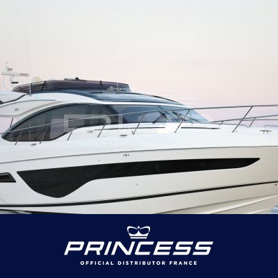 PRINCESS S66