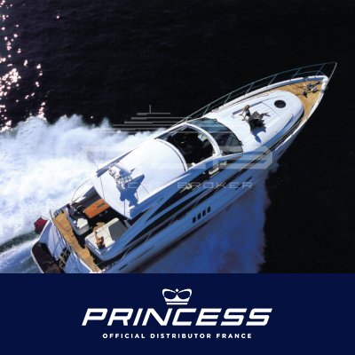 PRINCESS V65
