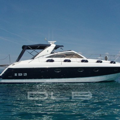 PRINCESS V40