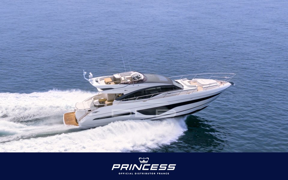 PRINCESS S66