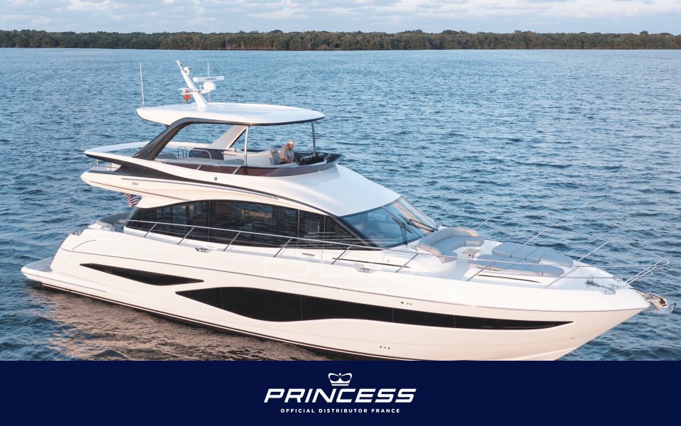 PRINCESS F65