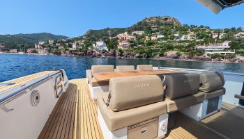 Pardo 43