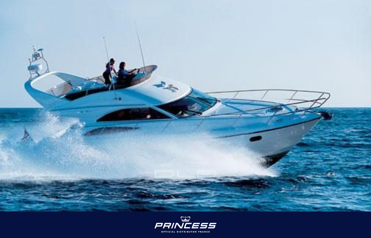 PRINCESS 45