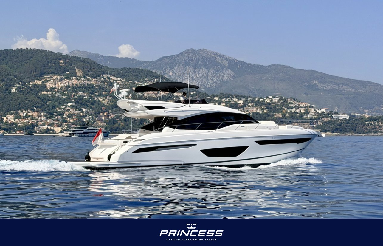 PRINCESS S65
