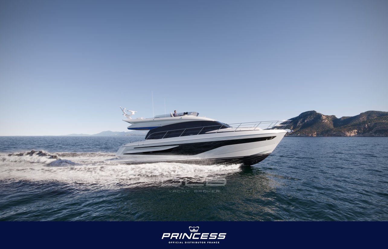 PRINCESS F55