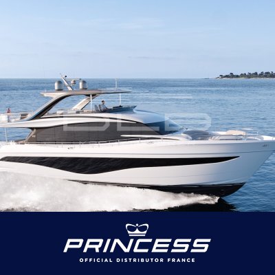 PRINCESS Y80