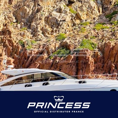 PRINCESS V56
