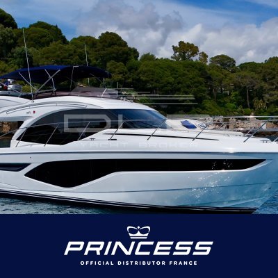 PRINCESS F50