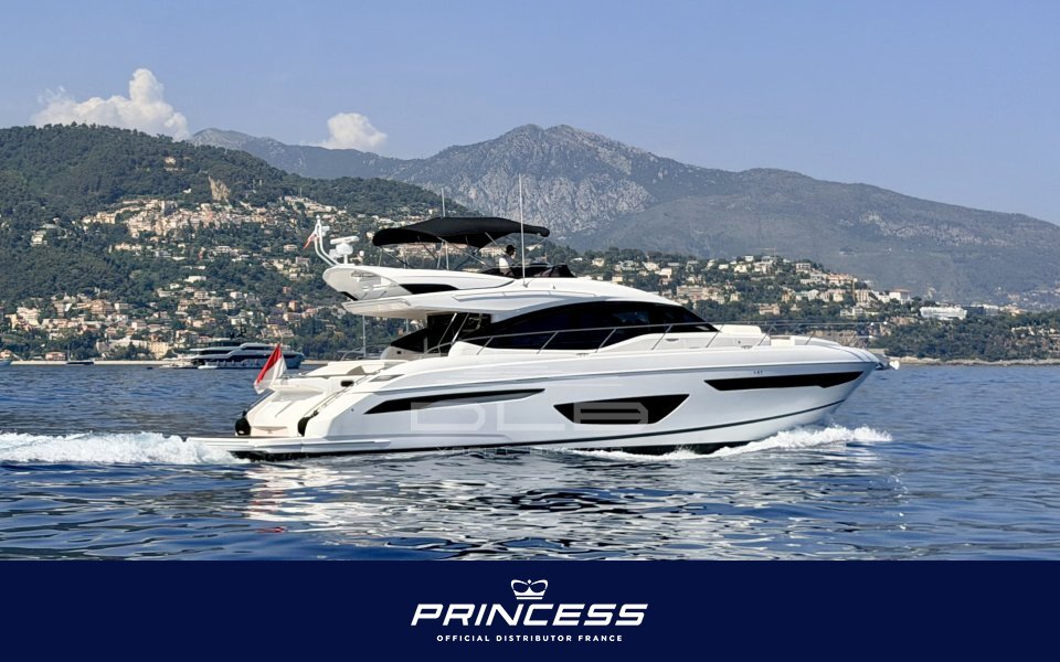 PRINCESS S65