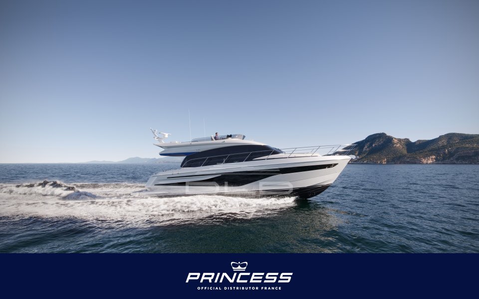PRINCESS F55